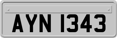 AYN1343