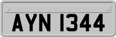 AYN1344