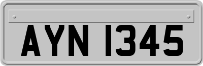 AYN1345