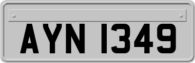 AYN1349