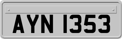 AYN1353