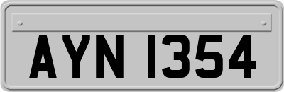 AYN1354