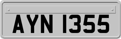 AYN1355