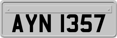 AYN1357