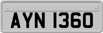 AYN1360
