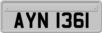 AYN1361