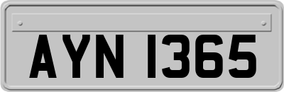 AYN1365