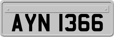 AYN1366