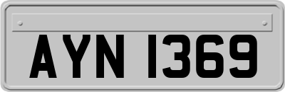 AYN1369