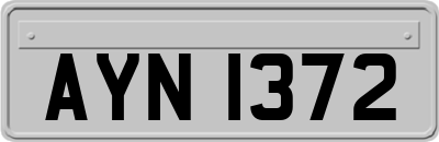 AYN1372