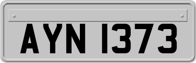 AYN1373