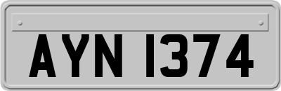 AYN1374
