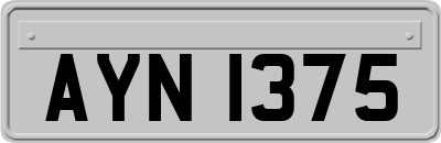 AYN1375
