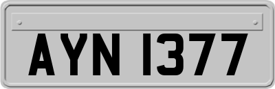 AYN1377