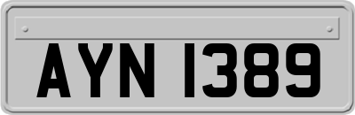 AYN1389