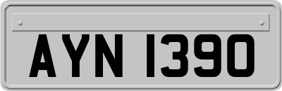 AYN1390