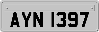 AYN1397