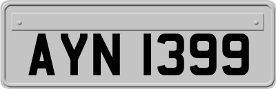AYN1399