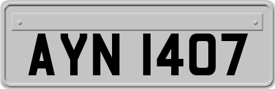 AYN1407