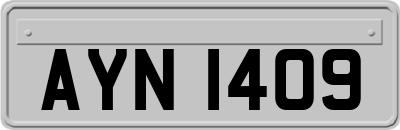 AYN1409