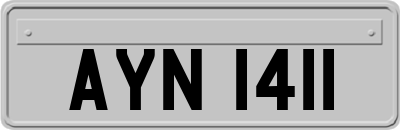 AYN1411