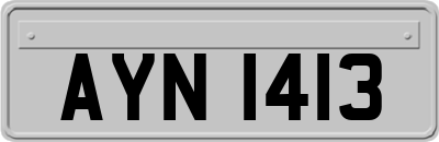 AYN1413