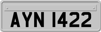 AYN1422