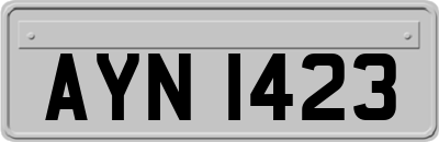 AYN1423