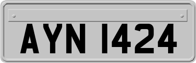 AYN1424
