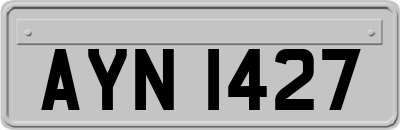 AYN1427