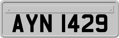AYN1429