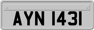 AYN1431