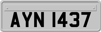 AYN1437