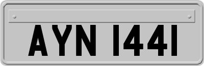 AYN1441