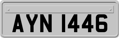 AYN1446