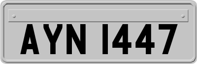 AYN1447