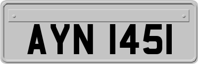 AYN1451