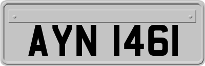AYN1461