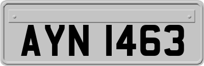 AYN1463