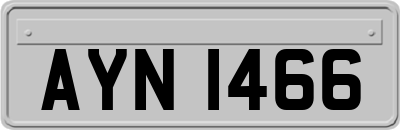 AYN1466