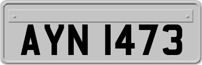AYN1473