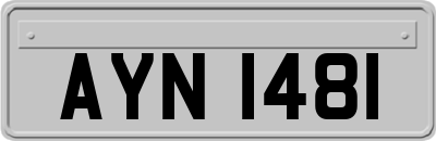 AYN1481