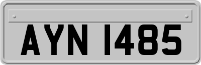 AYN1485
