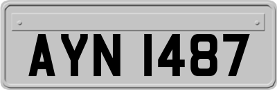 AYN1487