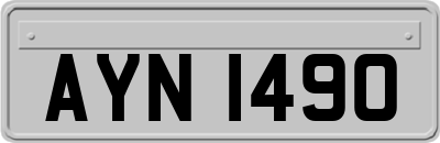 AYN1490