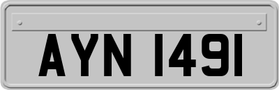 AYN1491