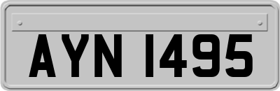 AYN1495