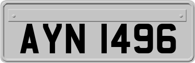 AYN1496