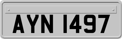 AYN1497