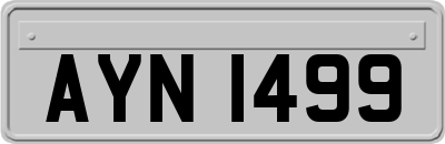 AYN1499